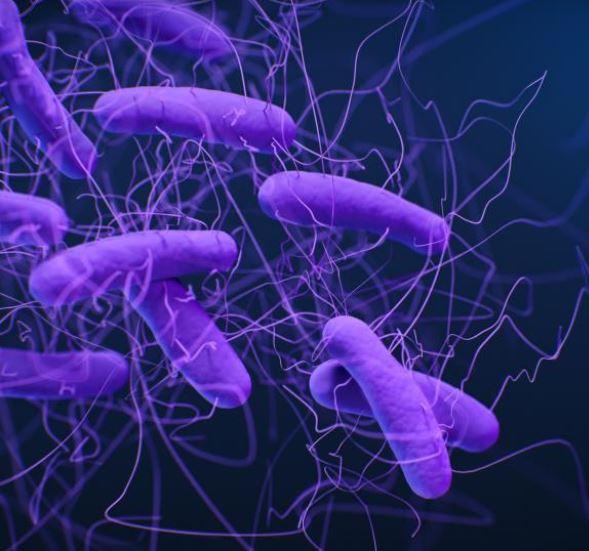 New guidance deems antibiotic stewardship essential for preventing C